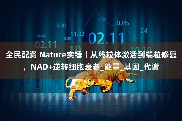 全民配资 Nature实锤丨从线粒体激活到端粒修复，NAD+逆转细胞衰老_能量_基因_代谢