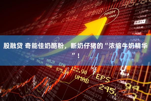 股融贷 奇能佳奶酪粉，断奶仔猪的“浓缩牛奶精华”！