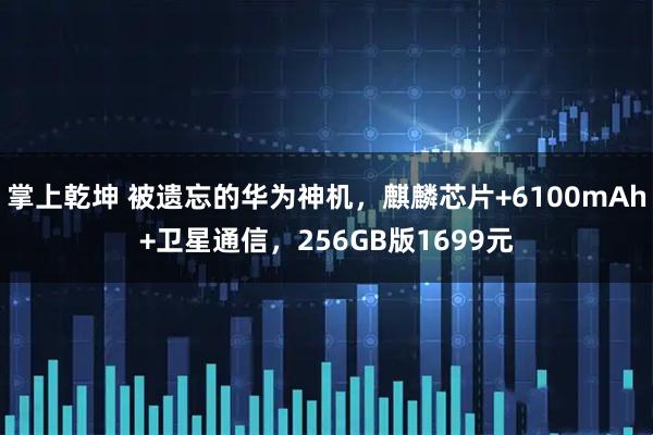 掌上乾坤 被遗忘的华为神机，麒麟芯片+6100mAh+卫星通信，256GB版1699元