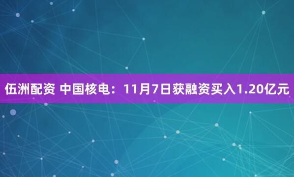 伍洲配资 中国核电:11月7日获融资买入1.20亿元